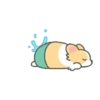 Summer Corgi 17