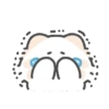 .         ☆     (    :3 ⠀ )   12