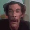 BOLSONARO 15