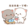 Panda x bear •56 21