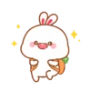 Rabbit🐰 11