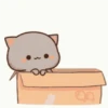 Kucing gemoy 17