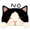 Cute cat 23