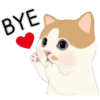 Cute cat 12