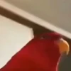 Reações atualizadas 6
