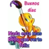 Piolin 2.0 25