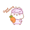 Rabbit🐰 12