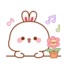 Rabbit🐰 15