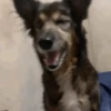 O que e a vida  26