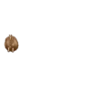 🐴 Fat horse TikTok 🐎 15