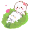 Molly and peter bear 5