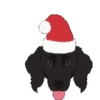 Quem é você no NATAL? 19