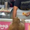 Más Monkys 🐵🐵🐵🐵 10