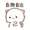Peach cat 10 12