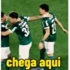 Palmeiras 11