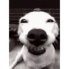 Smile mix 9