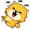 Cute cat 29
