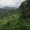 Variaditos de Tiktok 2🩵💥 24