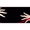 Amistad 1 (animada) 13