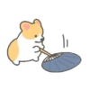 Summer Corgi 9