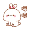 Rabbit🐰 29