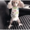 Mamacos 18