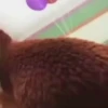 Dançando  8