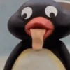 Pingu 8