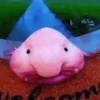 Shitpost animadas  9