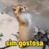 Gatos memes 11