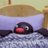 Pingu 7