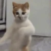 Dancinhas | dance 6
