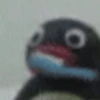 Pingu 6
