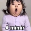 A mimir