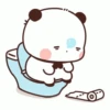 Panda x bear •63 16