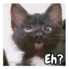 Eh?