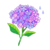 Primavera | Flores  9