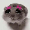 🥲🪾😭 TRISTE | SAD 2 🥲🪾😭 10
