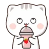Cat Chan 15