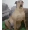 Shitpost 🫪 5