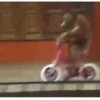 Os melhores memes 🔥 14