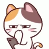 Stiker GIF Kucing Lucu 8