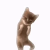 XITPOST ANIMADO  ˃̵ᴗ˂̵ 11