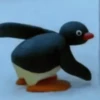 Pingu 12