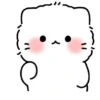 Perrito Blanco Pomerania 🐶🐾 11