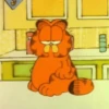 Garfield 7