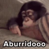 Aburridooo