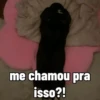Cachorros debochados 9
