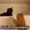 Alguien le ha pegado