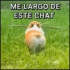 🐾⋆Perros|Dogs|Perritos🐾° 4
